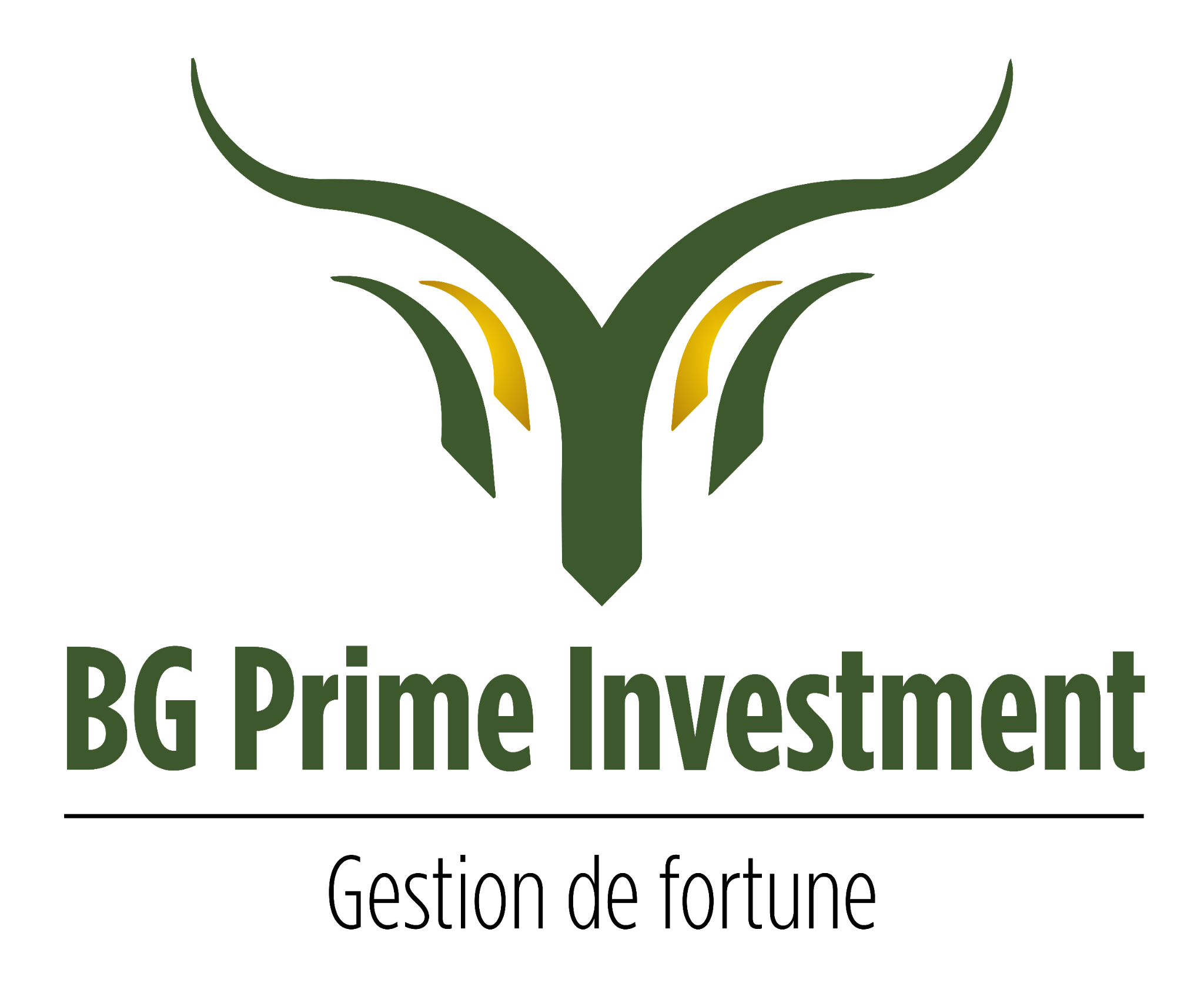 BG Prime Investment